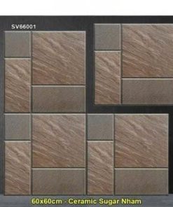 Gạch 60x60 TTC SV66001 Lát Sân