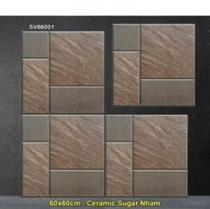 Gạch 60x60 TTC SV66001 Lát Sân