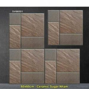 Gạch 60x60 TTC SV66001 Lát Sân