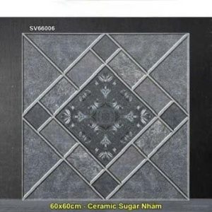 Gạch 60x60 TTC SV66006 Lát Sân