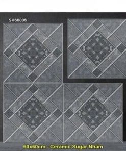 Gạch 60x60 TTC SV66006 Lát Sân
