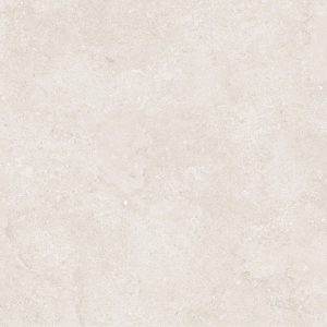 Gạch 60x60 Taicera mã G68P13JW Men Matt