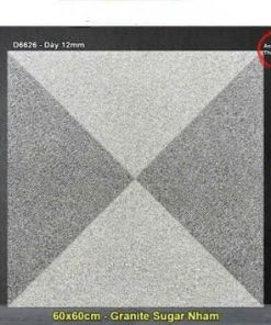 Gạch 60x60 Trung Quốc D6626 Lát Sân