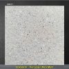Gạch 60x60 Trung Quốc S6031 Terrazzo