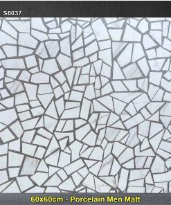 Gạch 60x60 Trung Quốc S6037 Terrazzo