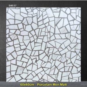 Gạch 60x60 Trung Quốc S6037 Terrazzo