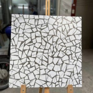 Gạch 60x60 Trung quốc mã 6904HH