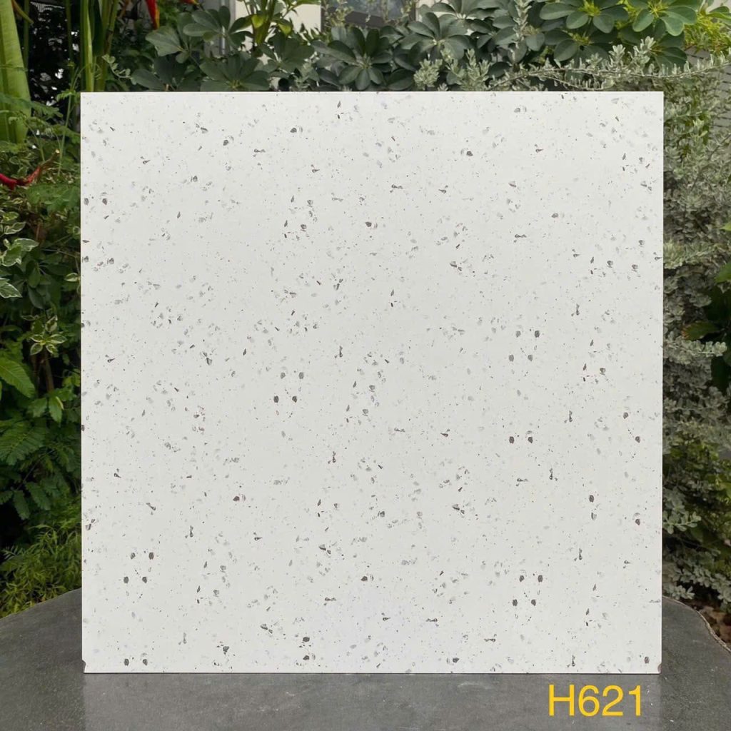 Gạch 60x60 Trung quốc mã H621