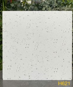 Gạch 60x60 Trung quốc mã H621