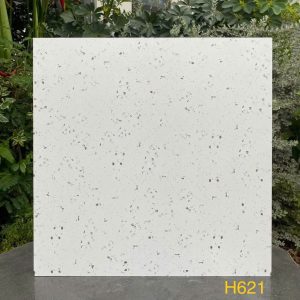 Gạch 60x60 Trung quốc mã H621