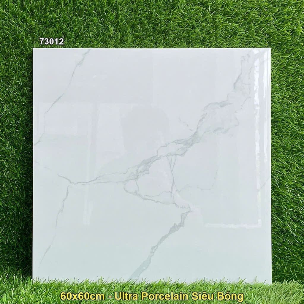 Gạch 60x60 Vitto 73012 Trắng Khói