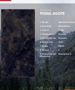Gạch 800x1600 Ấn Độ Novocera mã FOSSIL AGOTE Men Siêu Bóng Endless