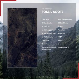 Gạch 800x1600 Ấn Độ Novocera mã FOSSIL AGOTE Men Siêu Bóng Endless