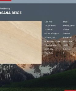 Gạch 80x80 Ấn Độ Novocera mã ASANA BEIGE Men Matt