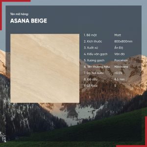 Gạch 80x80 Ấn Độ Novocera mã ASANA BEIGE Men Matt
