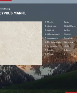 Gạch 80x80 Ấn Độ Novocera mã CYPRUS MARFIL Men Bóng