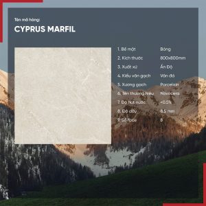 Gạch 80x80 Ấn Độ Novocera mã CYPRUS MARFIL Men Bóng