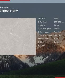 Gạch 80x80 Ấn Độ Novocera mã MORSE GREY Men Matt