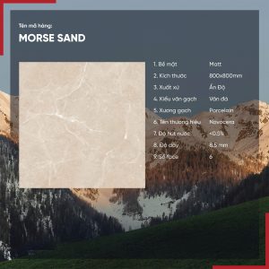 Gạch 80x80 Ấn Độ Novocera mã MORSE SAND Men Matt