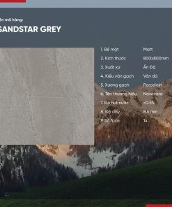 Gạch 80x80 Ấn Độ Novocera mã SANDSTAR GREY Men Matt