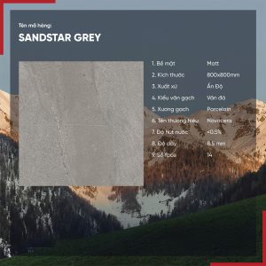 Gạch 80x80 Ấn Độ Novocera mã SANDSTAR GREY Men Matt