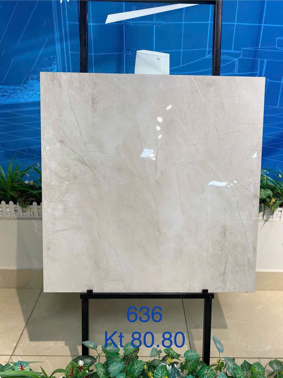 Gạch 80x80 Ấn Độ mã 636 men bóng