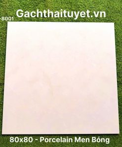 Gạch 80x80 Ấn Độ mã WM-8001