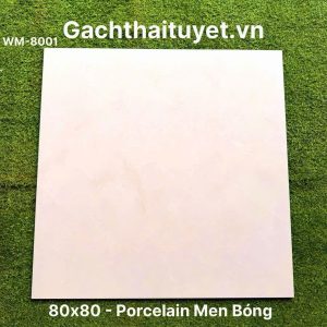 Gạch 80x80 Ấn Độ mã WM-8001