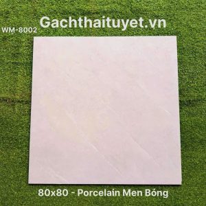 Gạch 80x80 Ấn Độ mã WM-8002