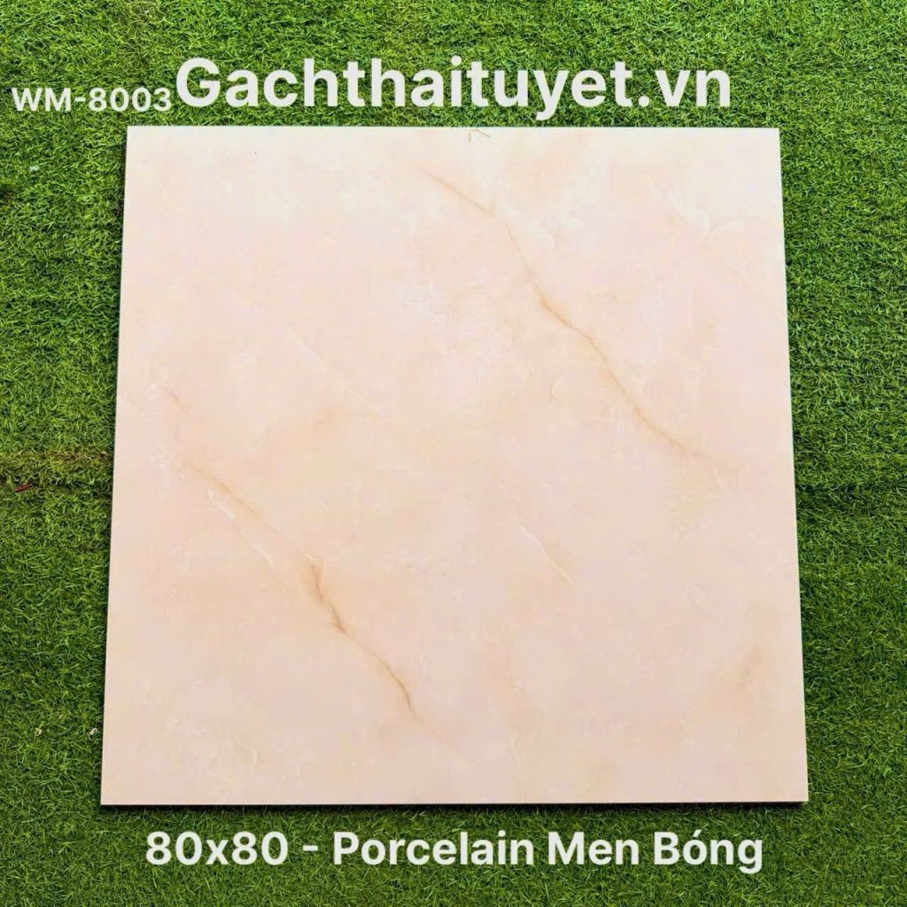 Gạch 80x80 Ấn Độ mã WM-8003