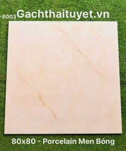 Gạch 80x80 Ấn Độ mã WM-8003