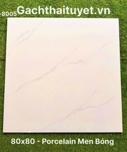 Gạch 80x80 Ấn Độ mã WM-8005
