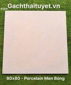 Gạch 80x80 Ấn Độ mã WM-8009