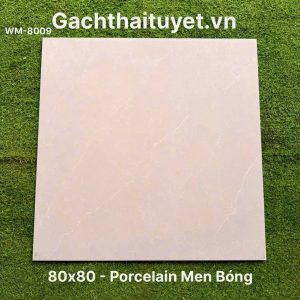 Gạch 80x80 Ấn Độ mã WM-8009