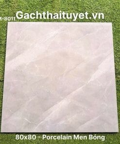 Gạch 80x80 Ấn Độ mã WM-8011