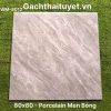 Gạch 80x80 Ấn Độ mã WM-8012