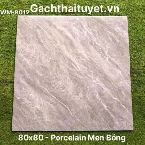 Gạch 80x80 Ấn Độ mã WM-8012