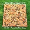 Gạch 80x80 Ấn Độ mã WM-8066