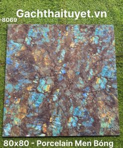 Gạch 80x80 Ấn Độ mã WM-8069