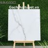 Gạch 80x80 Grand mã AMM88002