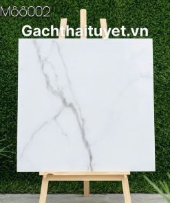 Gạch 80x80 Grand mã AMM88002