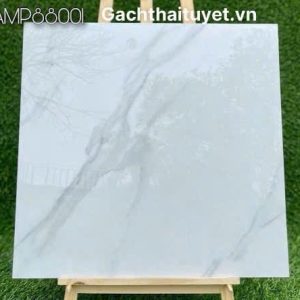 Gạch 80x80 Grand mã AMP88001