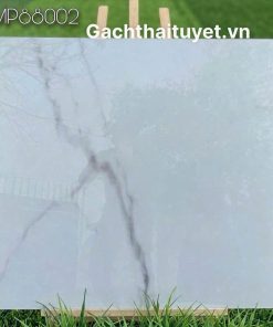 Gạch 80x80 Grand mã AMP88002