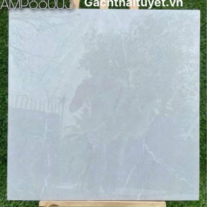 Gạch 80x80 Grand mã AMP88003