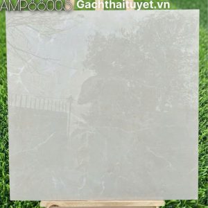 Gạch 80x80 Grand mã AMP88005