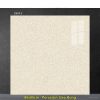 Gạch 80x80 Prime 25013