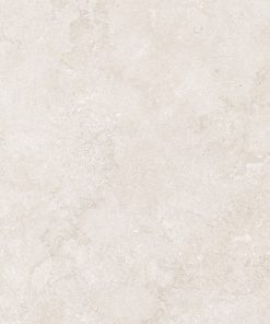 Gạch 80x80 Taicera mã G88P13JW Men Matt