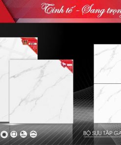 Gạch 80x80 Tasa 2101 Men bóng