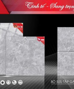 Gạch 80x80 Tasa 2102 Men bóng
