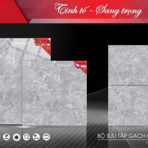 Gạch 80x80 Tasa 2102 Men bóng